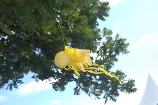 Sternschnuppen fliegen im Luisenpark