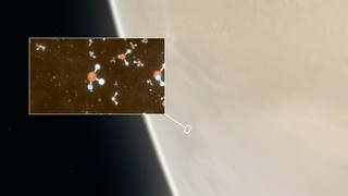 Leben auf der Venus?